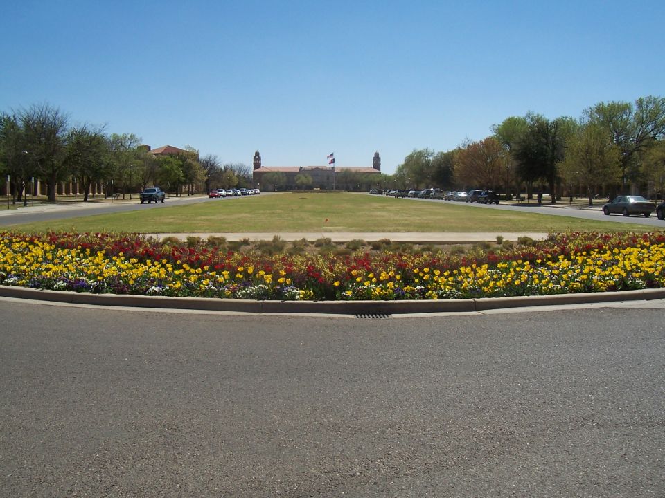 Campus grounds with a wide lawn, flower beds, and buildings in the distance. Cars are parked along the sides of the lawn