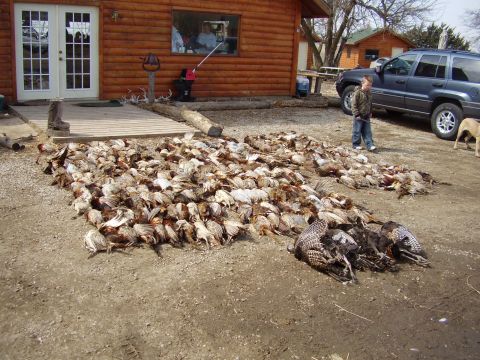1968 Jeep J-20 - A massive collection of birds lies on the ground outside a rustic cabin, with a young boy and a dog nearby.
