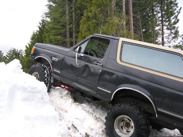 Dark gray Ford Bronco with a tan top stuck in snow, dented driver's side door