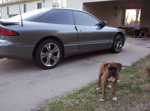 1995 Ford Probe - A gray Ford Probe coupe is parked on a concrete driveway, with a boxer dog standing on the grass nearby.