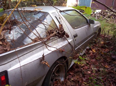 1995 Ford Probe - This car appears to be abandoned and is heavily overgrown with vegetation.