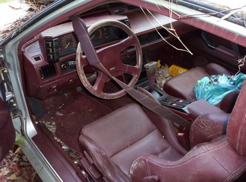 1995 Ford Probe - The interior of a 1989 Ford Probe shows significant wear and tear, with debris scattered across the floor and seats.