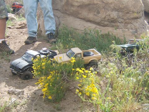 1988 Ford Bronco - RC trucks navigate a rocky, grassy terrain with yellow wildflowers.