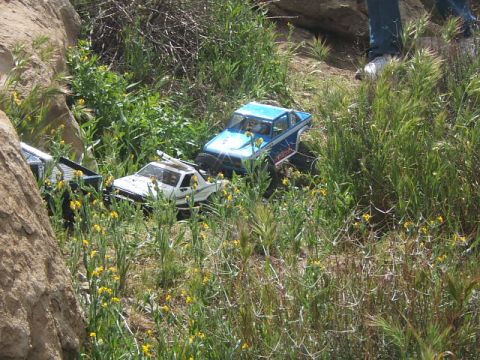 1988 Ford Bronco - A trio of RC vehicles are seen traversing a , natural landscape dotted with wildflowers and tall grasses.