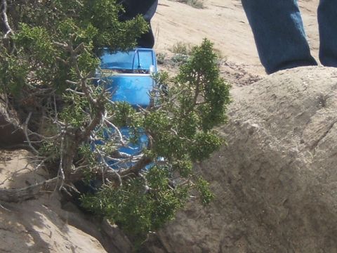 1988 Ford Bronco - A blue RC car is partially obscured by a juniper tree and a large rock in a desert landscape.