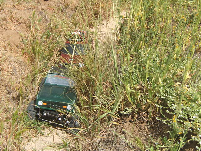 Green remote control car with visible chassis and tires, partially obscured by tall grass
