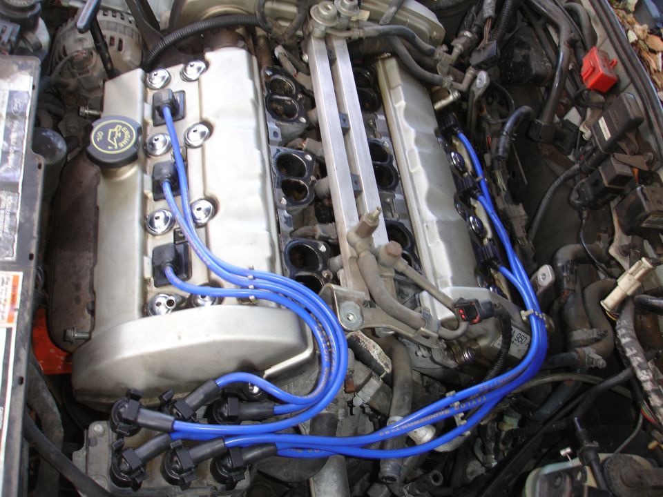 Engine bay with blue aftermarket spark plug wires on a DOHC engine