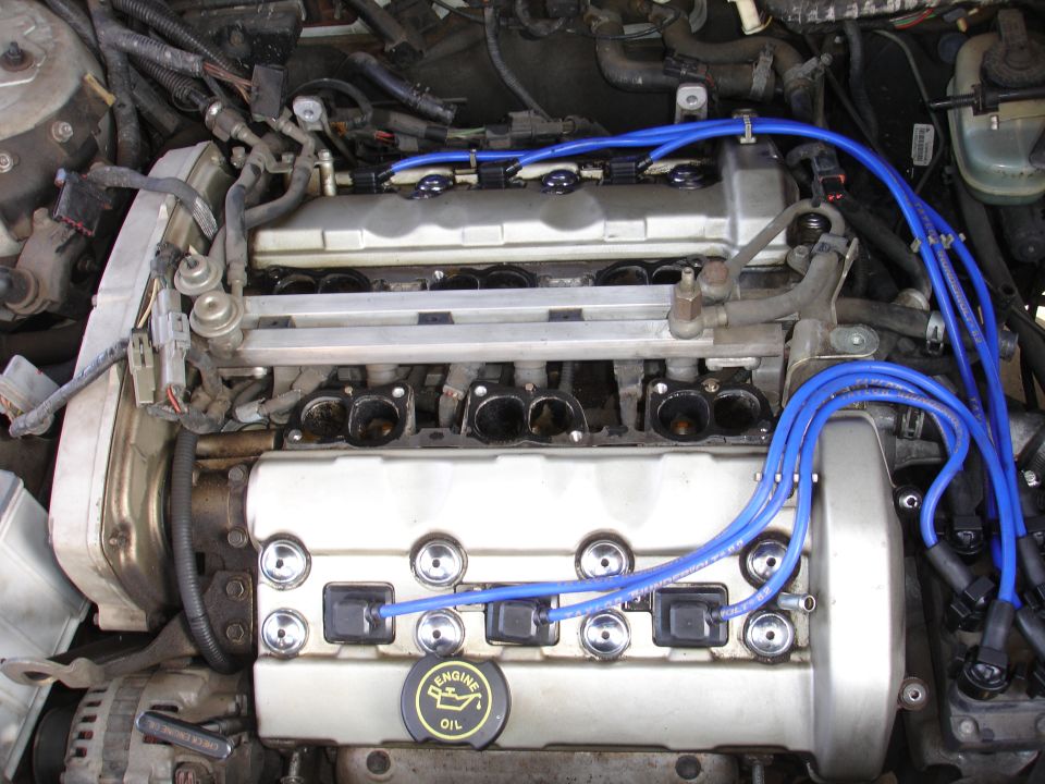 engine bay with blue spark plug wires and silver valve covers