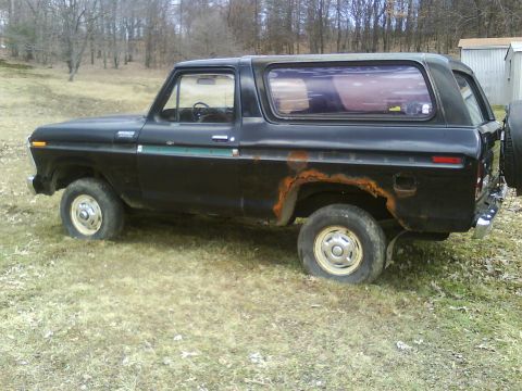 1979 Ford Bronco photo