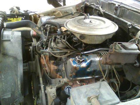 1979 Ford Bronco photo