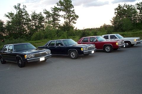 1991 Mercury Marquis “SteveS”