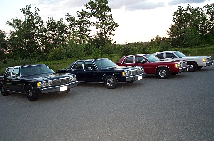 Four full-size Ford Panther-platform sedans lined up on asphalt at dusk