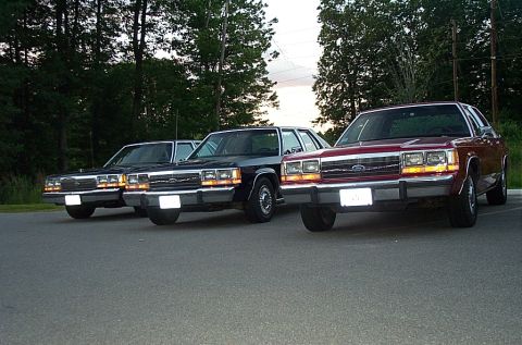 1991 Mercury Marquis “SteveS”