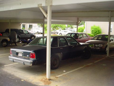 1991 Mercury Marquis “SteveS”