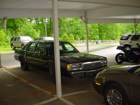 1991 Mercury Marquis photo