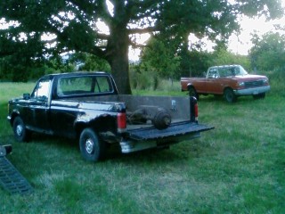 1989 Ford F-350 - Two pickup trucks are parked in a grassy field under a large tree, with a watermark for SuperMotors.