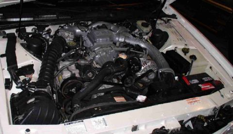 1994 Ford Thunderbird photo
