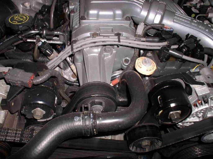 Engine bay close-up of supercharger housing, serpentine belt and black radiator hose