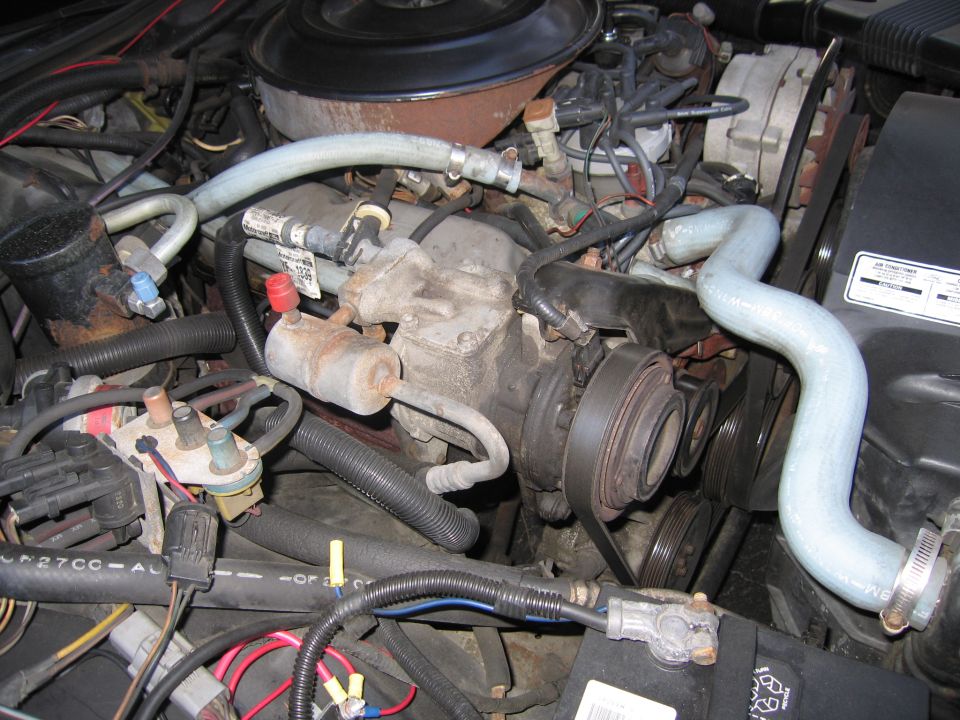 Engine bay with hoses and belts visible
