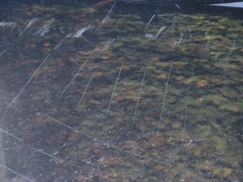 1998 Ford Crown Victoria - The glass surface is heavily scratched, obscuring any clear view of the subject behind it.
