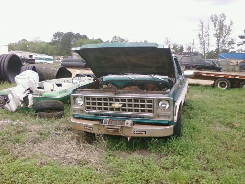 1979 Chevrolet Cheyenne - This 1979 Chevrolet Cheyenne pickup truck is seen with its hood open, parked outdoors in a grassy area.