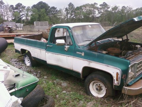 1979 Chevrolet Cheyenne - This 1979 Chevrolet Cheyenne pickup truck, seen in a junkyard setting, has its hood open revealing the engine compartment.