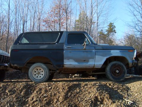 1979 Ford Bronco photo