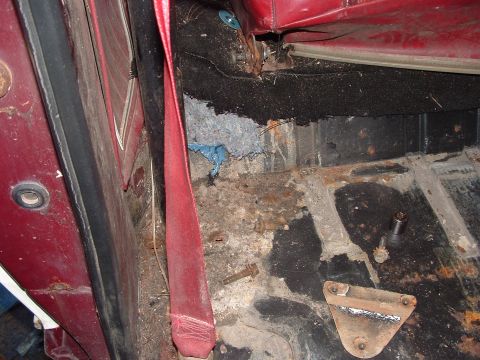 1979 Ford Bronco - The interior of a vehicle shows significant rust and damage to the floor and carpet.