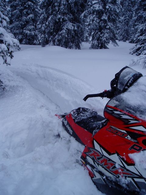 2000 Ford E350 - A red Polaris snowmobile is seen in a snowy forest, with tracks leading away into the snow.