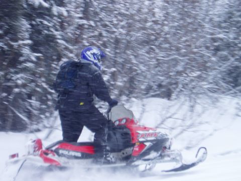 2000 Ford E350 - A person rides a red Polaris snowmobile through a snow-covered forest.