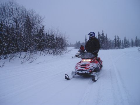 2000 Ford E350 - Two snowmobiles travel through a snowy landscape with trees on either side.