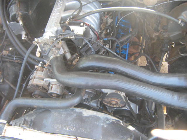 Engine bay with black radiator hoses, clutch fan, and wiring