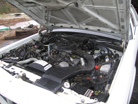 1991 Ford LTD Crown Victoria - Engine bay of a 1991 Ford Crown Victoria LTD, showing the V8 engine and associated components.