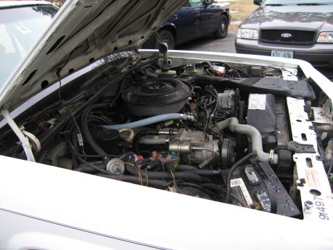 1991 Ford LTD Crown Victoria - The engine bay of a white 1991 Ford Crown Victoria LTD is visible, with other vehicles in the background.