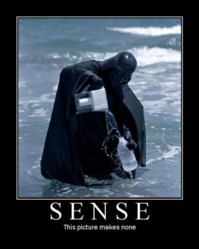 1995 Ford Bronco - This image of Darth Vader in the ocean with a cooler is captioned 'SENSE This picture makes none'.