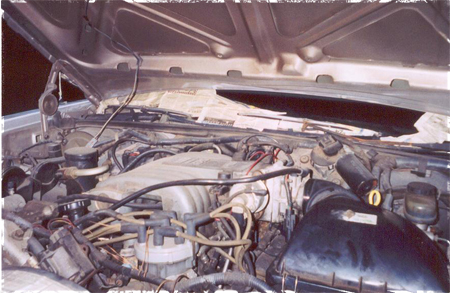 1991 Ford Crown Victoria - The engine bay of a 1991 Ford Crown Victoria is shown, with the hood open.