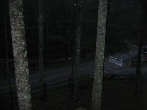 1992 Ford Mustang - A banner hangs across a road in a dark, wooded area.