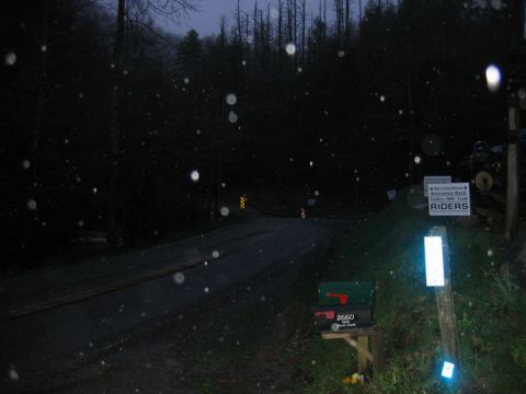 1992 Ford Mustang - A mailbox and trail signs are visible by a dark, wooded road at dusk, with precipitation falling.
