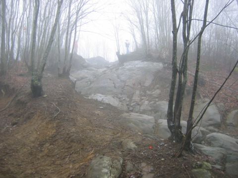 1992 Ford Mustang - A foggy, wooded scene with a steep, rocky incline and two figures visible on the ridge above.