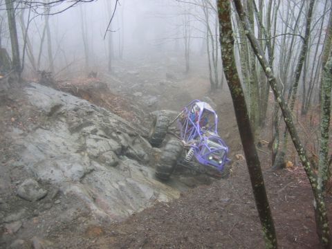 1992 Ford Mustang - An off-road buggy tackles a challenging, wet, and wooded terrain on a foggy day.