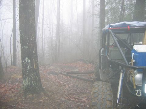 1992 Ford Mustang - A off-road vehicle sits in a misty forest clearing, surrounded by trees and fallen leaves.