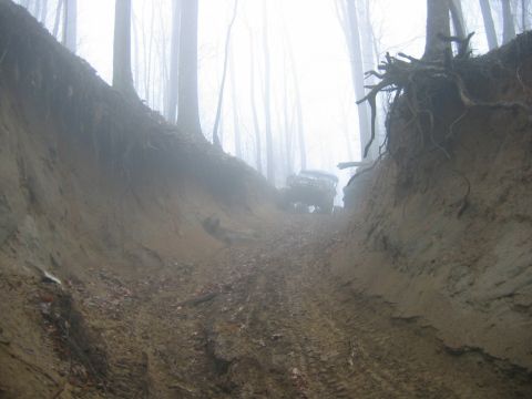 1992 Ford Mustang - An off-road vehicle navigates a steep, muddy path through a foggy forest.