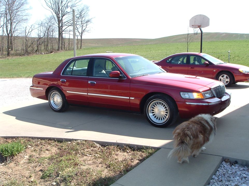 Red 1999 Mercury Grand Marquis, 3/4 front view, with another car and dog
