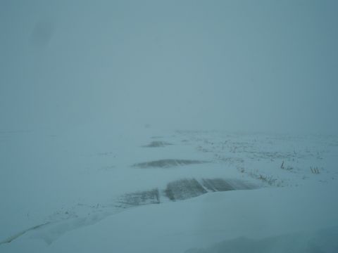 1990 Ford Bronco - A desolate road disappears into a blizzard, with only faint tire tracks indicating passage.