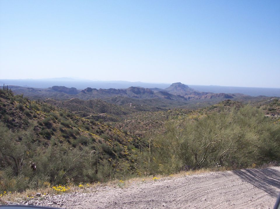 Desert mountain landscape with green brush under a clear blue sky