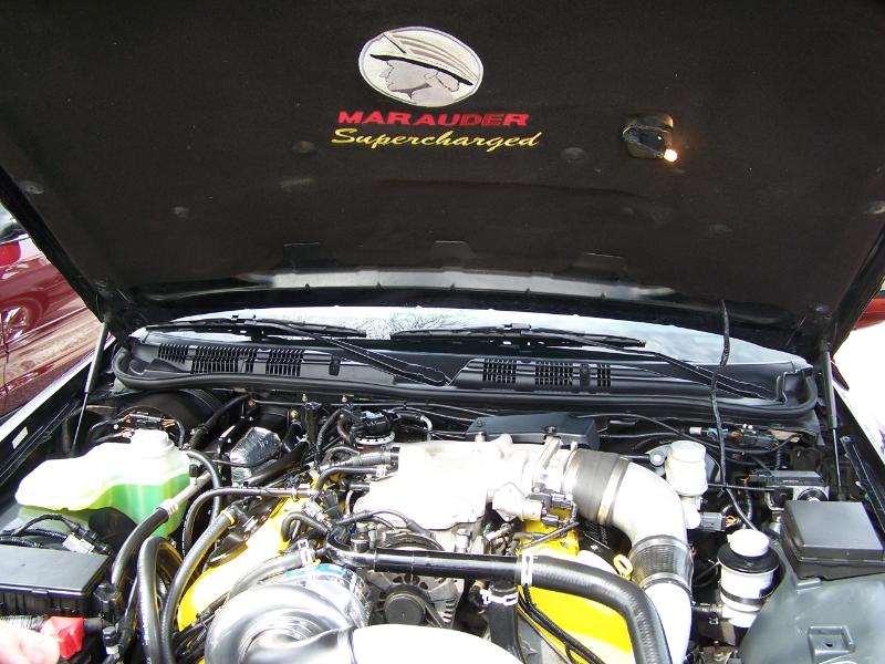 Note the CAR Motorsports hood liner.