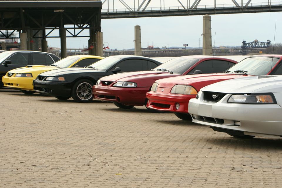 White Ford Mustang front view with a line of other Mustangs behind it