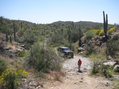 1991 Ford Bronco - A man walks towards a dark blue Ford Bronco on a rough desert path surrounded by cacti.