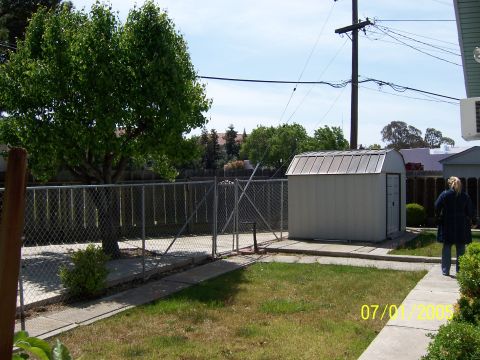 1991 Ford Bronco - A person walks away from the camera in a backyard with a shed and a large tree.
