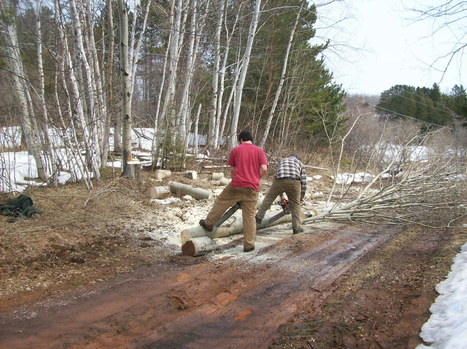 Two guys are cutting up a fallen tree with a chainsaw on a dirt road
